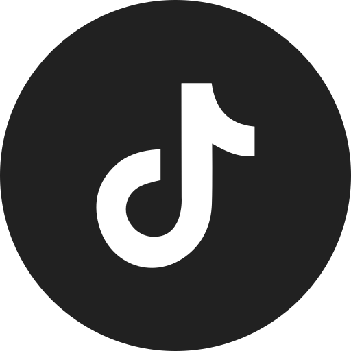 TikTok Icon